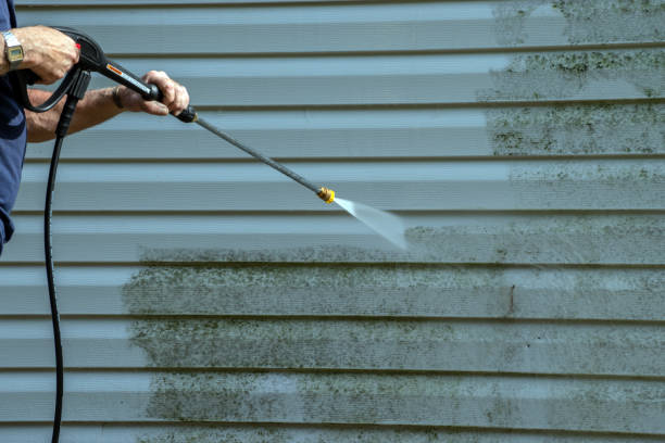 Best Roof Washing  in Conrad, MT